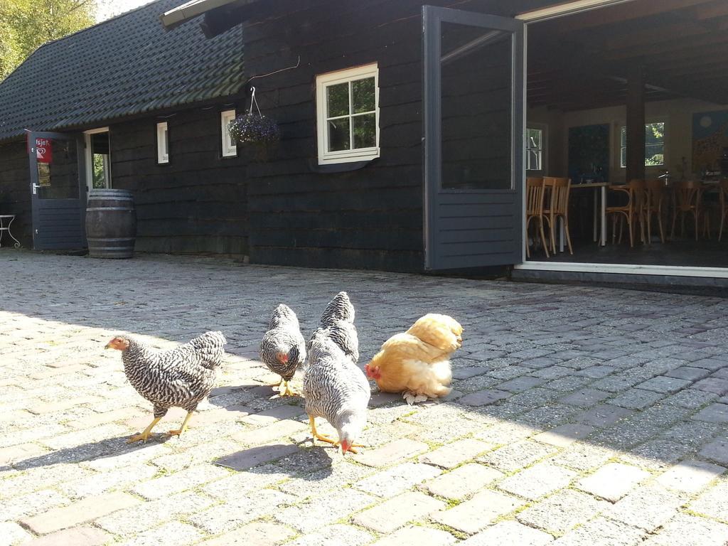 Het Bonte Paard Bed & Breakfast Dwingeloo Exterior photo