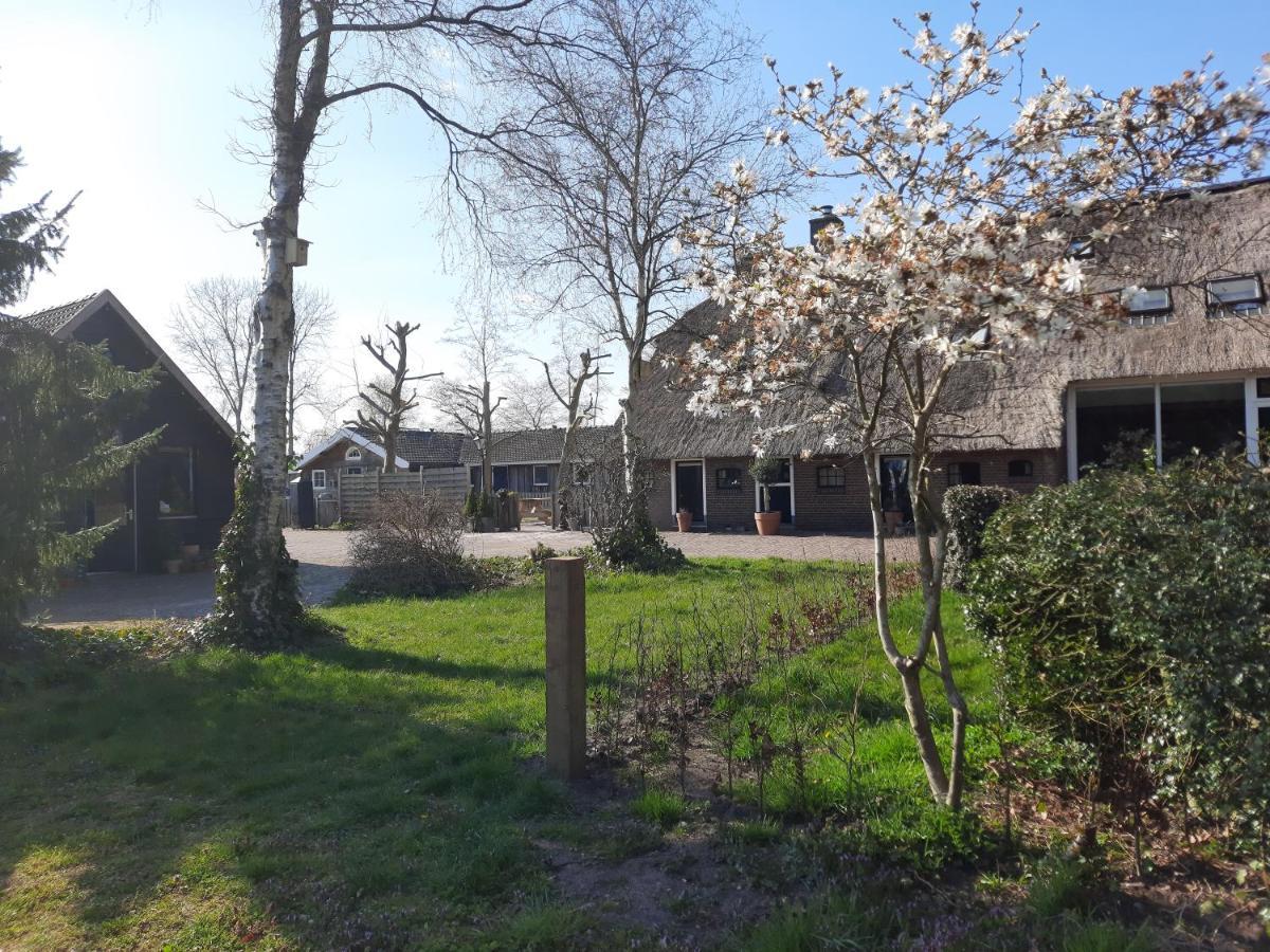 Het Bonte Paard Bed & Breakfast Dwingeloo Exterior photo