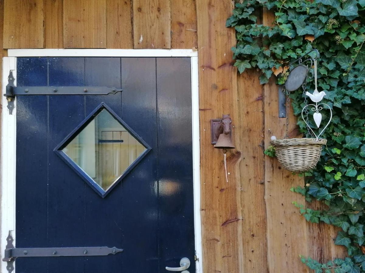 Het Bonte Paard Bed & Breakfast Dwingeloo Exterior photo
